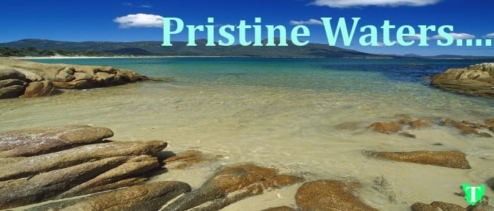 Pristine Waters Tas Tours Tasmania Australia