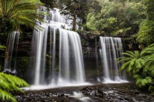 Russell Falls Tasmania Mount Field