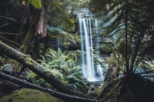 Russell Falls Tasmania Mount Field National Park