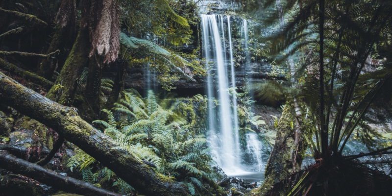 Russell Falls Tasmania Mount Field National Park